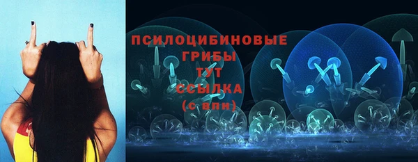 прущие крисы Богородицк