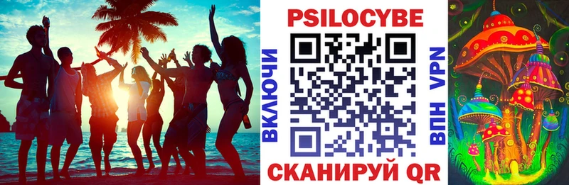Галлюциногенные грибы мицелий площадка формула Волжский